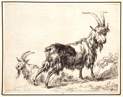 Goats by Nicolaes Pietersz. Berchem